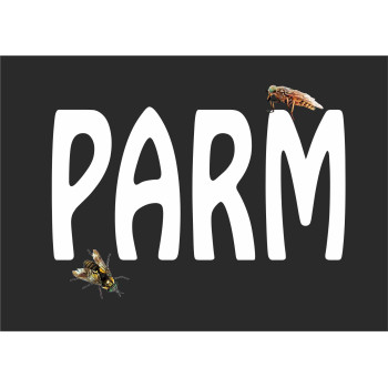 Parm T-särk Meestele / Naistele