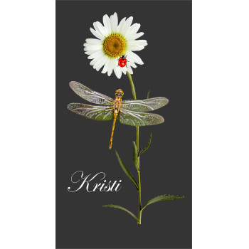 Karikakar kiil lepatriinu + SINU nimi / Naiste T-särk - must   