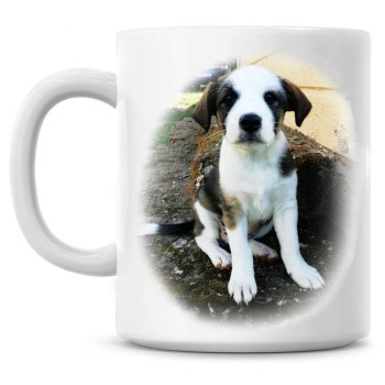 Sinu saadetud foto TASSILE Sinu saadetud foto TASSILE